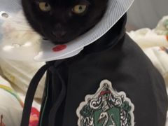 -宠爱国际动物医院·消化内科·心肾内科·ISFM猫友好(望京店)