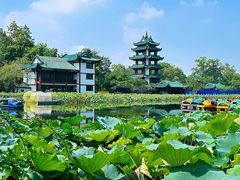 -桂湖森林公园