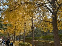 -元大都城垣遗址公园