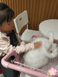 -萌兔星空蹦床撸兔馆
