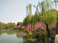 -圩墩遗址公园