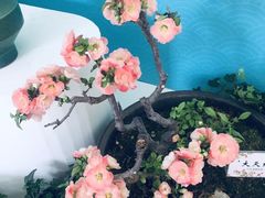 -陶然亭公园