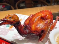 红烧乳鸽-大鸽饭(北京路店)