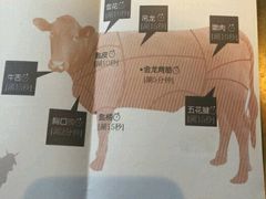 -手选潮汕鲜活牛肉火锅(二七广场店)