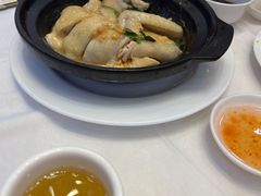 金不换焖鸡-金华安大酒楼·老牌潮菜·粤式茶点(东方国际店)