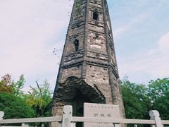 -上海佘山国家森林公园天马山园