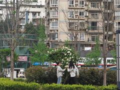 -大龙山(地铁站)