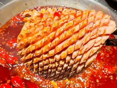 -袁老四重庆老火锅(桐梓坡店)