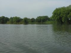 tuying08-长兴太湖图影湿地文化园
