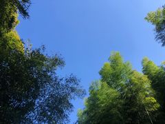 -山沟沟景区