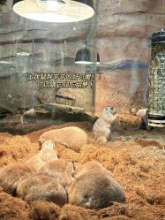 -Zoolung Zoolung动物主题公园(海信广场店)