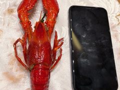 -星湖饭店(汉中门店)
