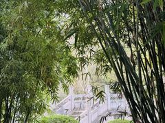 -徽园