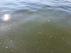 -浙江省博物馆(孤山馆区)