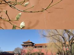 -故宫博物院(故宫)