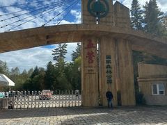 -五营红松林海景区