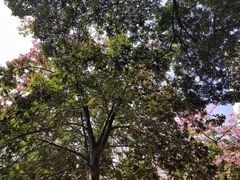 -海港城购物中心