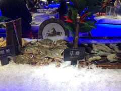 -加餐海鲜自助(宝龙一城店)