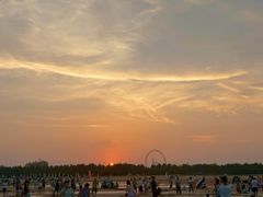 -日照海滨国家森林公园