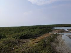 -北海金海湾红树林生态旅游区