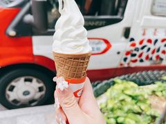 -富豪雪糕车流动点(尖沙咀店)