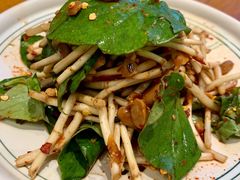 凉拌折耳根-云海肴·汽锅鸡·云南菜(苏州中心店)