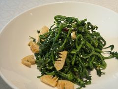 油炝枸杞芽-大鸽饭(岗顶店)