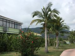 -亚龙湾国际玫瑰谷