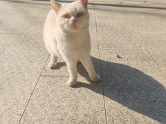 -四门塔风景区