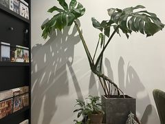 -船到桥头自然直CIAOCOFFEE