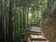-缙云山景区