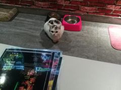 -AOE 火焰 剧本密室狼人杀