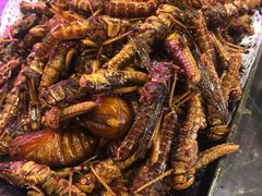 -粗粮人家·东北菜(洋桥店)