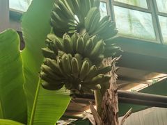 -第五季龙水凤港生态露营农场