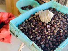 -陈记栗子(长宁路店)