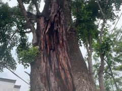-新安江山水画廊风景区