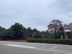 -广州市石门国家森林公园