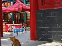 -雪山彩虹谷景区