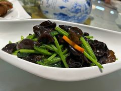 木耳炒菠菜-河州宾馆清真餐厅(文锦南路店)