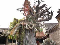 -康百万庄园