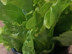 -子檀大隐炭烧(食品街店)