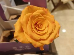 -向花仕Bloomy Life咖啡鲜花(益田假日店)