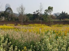 -三圣花乡旅游区