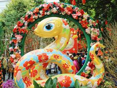 -越秀西湖花市(广州城市广场花卉店)