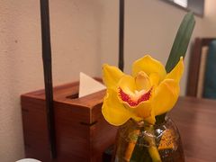 餐具摆设-觅唐MITONG(鸟巢店)
