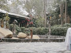-西安国际创新人才交流中心•药浴温泉