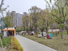 -新江湾城公园