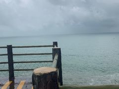 -广东惠东海龟国家级自然保护区