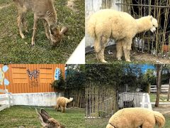 -云栖山谷露营地·团建年会·生日派对