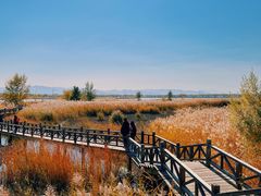 -野鸭湖国家湿地公园